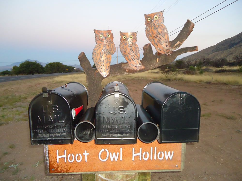 Owl mailboxes